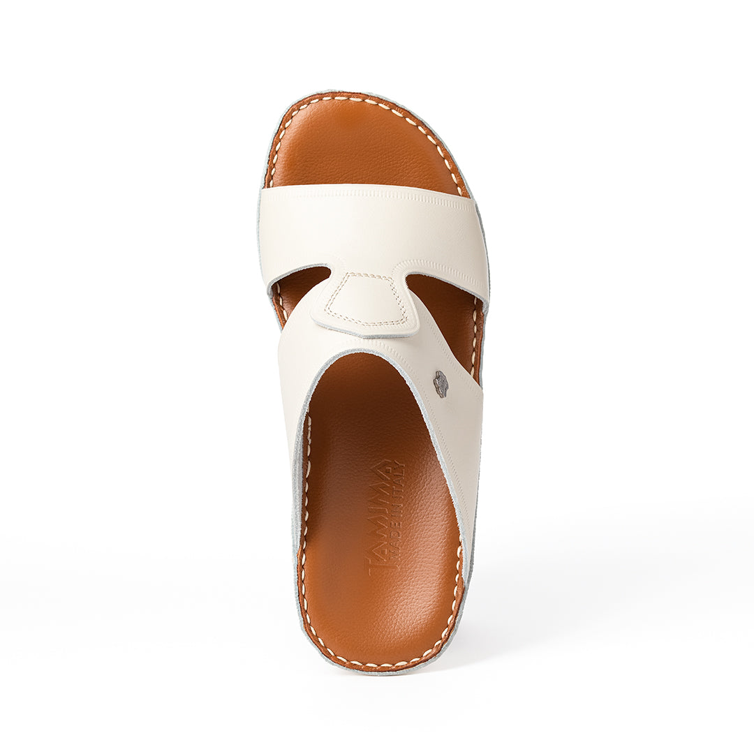 2177 - NOVO CALF - NEW FLORIDA